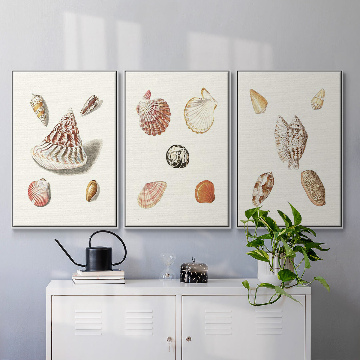 Pastel Knorr Shells VI - Framed Premium Gallery Wrapped Canvas L Frame 3 Piece Set - Ready to Hang