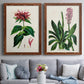 Set of two maple barnwood framed canvas prints depicting paired antique botanical plate illustrations with detailed blossoms, leaves, roots, and archival cream grounds above a sofa in a contemporary living room.