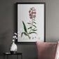 Rose Botanical I - Modern Framed Canvas Print