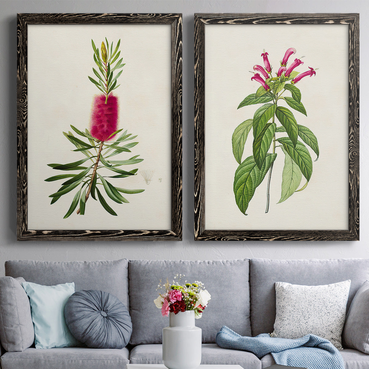 Set of two black barnwood framed canvas prints depicting paired vintage botanical plate illustrations with peonies thistles leafy stems and archival cream paper above a sofa in a contemporary living room.