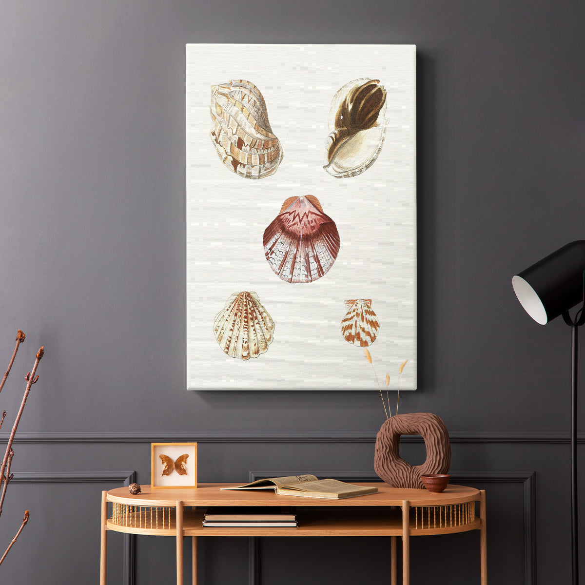 Pastel Knorr Shells V - Canvas Art Print