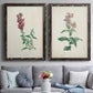 Set of two black barnwood framed canvas prints depicting paired archival flower studies in muted red pink green and cream tones above a sofa in a contemporary living room.