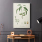 Antique Almond Botanical I - Canvas Art Print