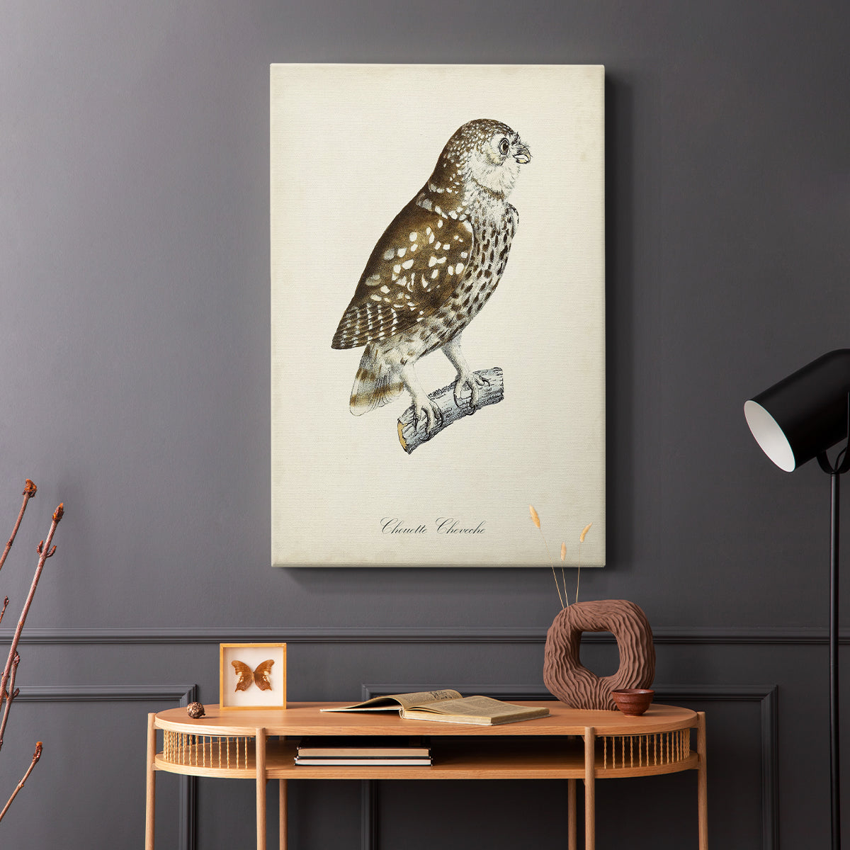 French Owls I - Canvas Art Print