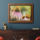 Echinacea Study II Premium Framed Canvas- Ready to Hang