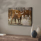 Longhorns - Canvas Art Print