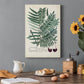 Collected Ferns VIII Premium Gallery Wrapped Canvas - Ready to Hang