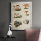 Mushroom Species X - Modern Framed Canvas Print