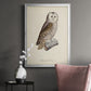 French Owls V - Modern Framed Canvas Print