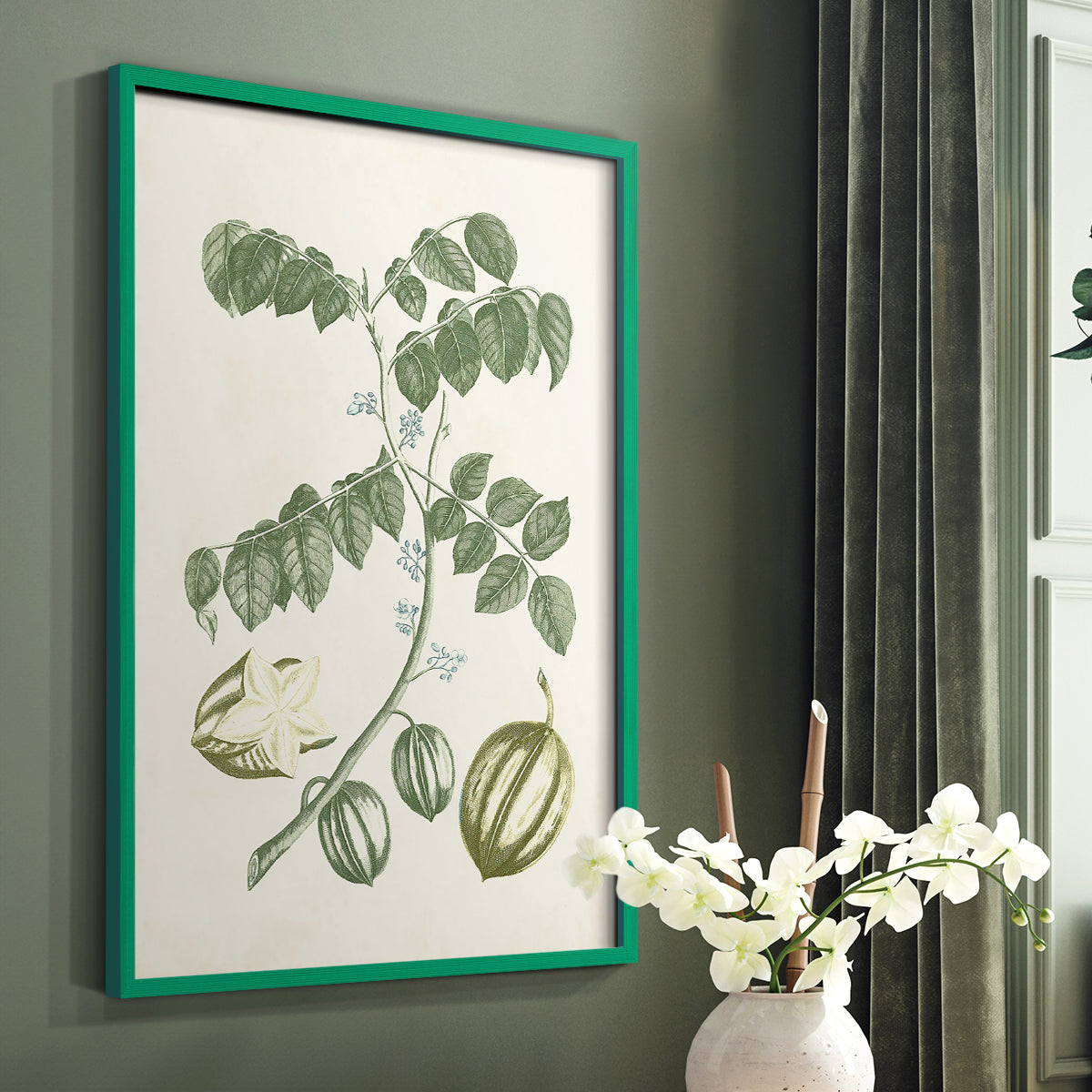 Buchoz Tropicals II - Restickable Framed Art Print