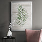 Tropic Frond II - Modern Framed Canvas Print