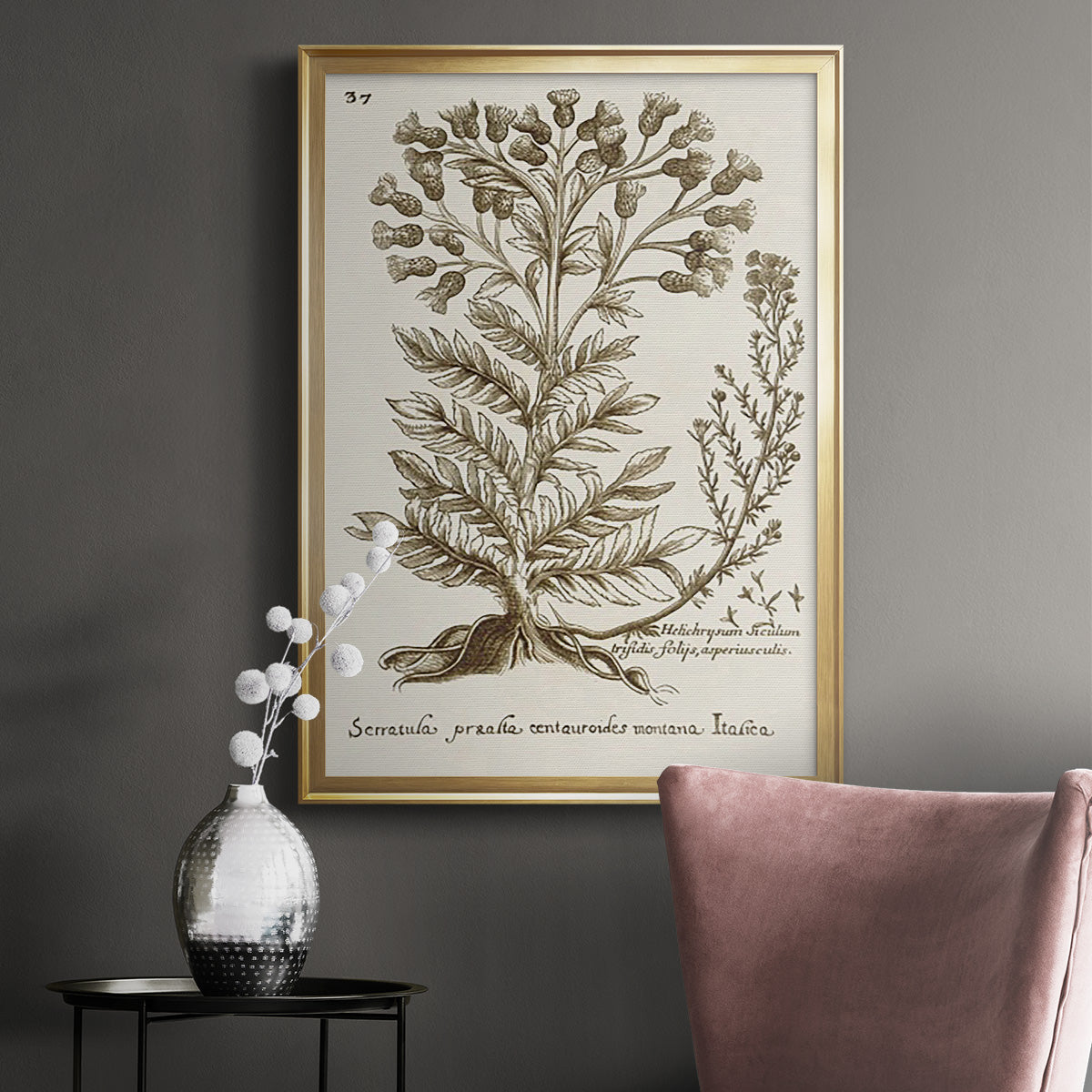 Sepia Botanical Journal I - Modern Framed Canvas Print