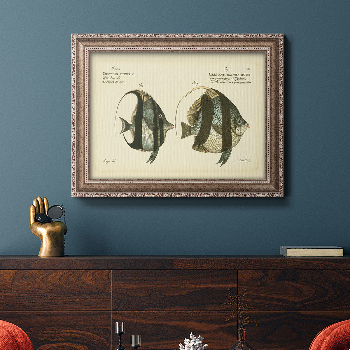 Bloch Antique Fish I Premium Framed Canvas- Ready to Hang