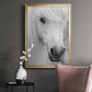 Island Pony I - Modern Framed Canvas Print