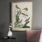 Antique Birds in Nature I - Modern Framed Canvas Print