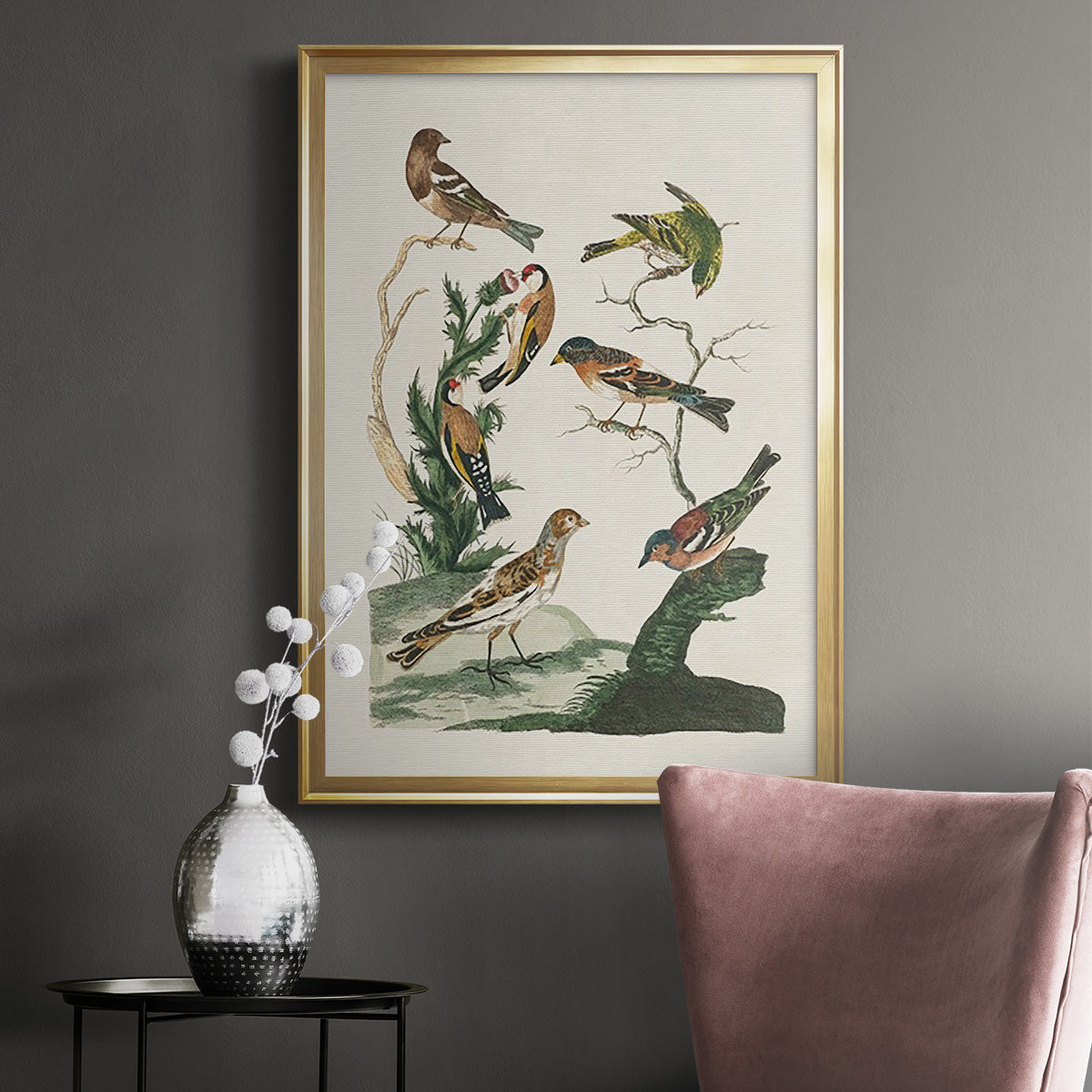 Antique Birds in Nature I - Modern Framed Canvas Print