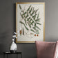 Botanical Society Ferns X - Modern Framed Canvas Print