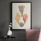 Knorr Shells & Coral IV - Modern Framed Canvas Print