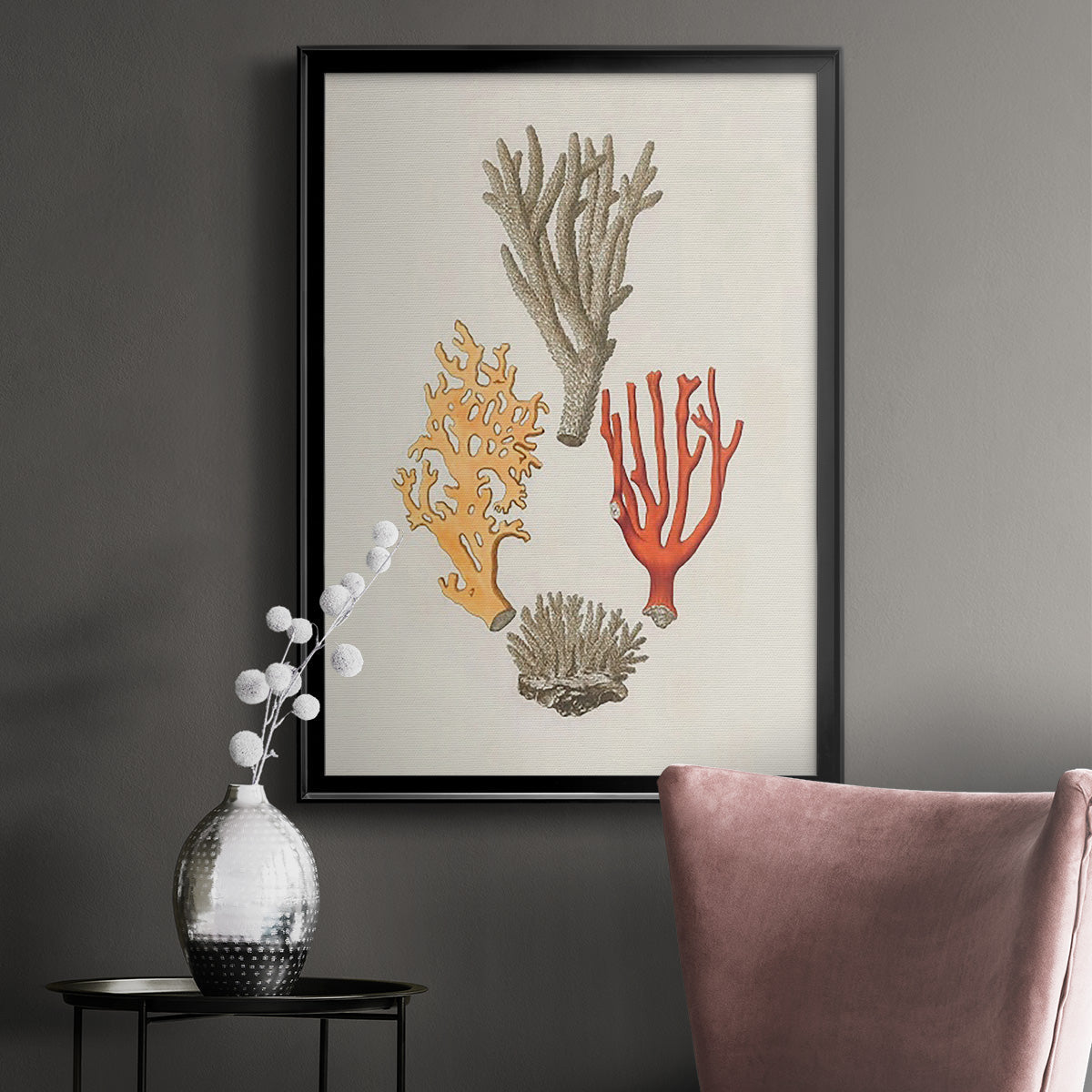 Knorr Shells & Coral IV - Modern Framed Canvas Print