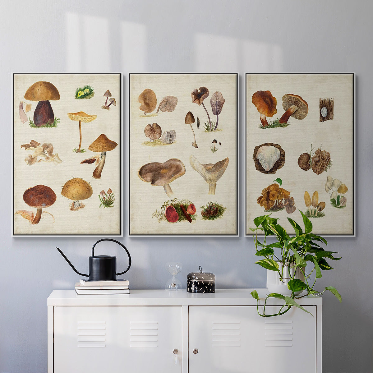 Mushroom Species I - Framed Premium Gallery Wrapped Canvas L Frame 3 Piece Set - Ready to Hang