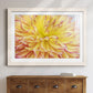 Blooms III - Barnwood Framed Art Print