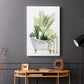 Plant Bath I - Canvas Art Print