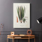 Botanical Society Ferns V - Canvas Art Print