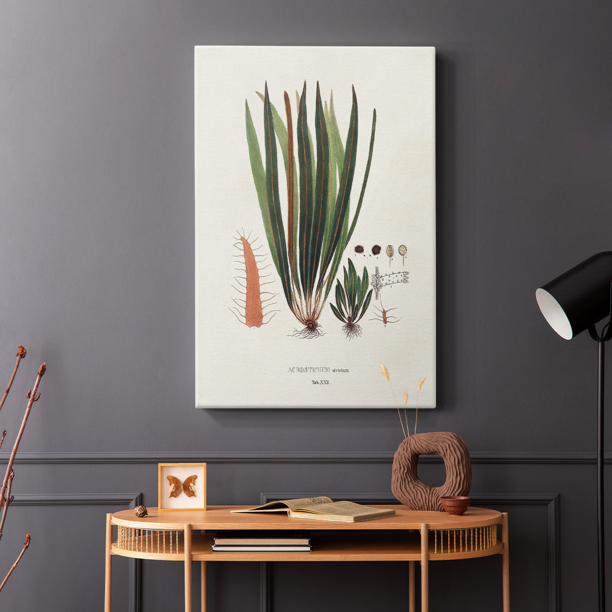 Botanical Society Ferns V - Canvas Art Print
