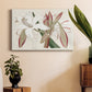 Amaryllis Varietals II Premium Gallery Wrapped Canvas - Ready to Hang