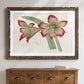 Amaryllis Varietals IV-Premium Framed Print - Ready to Hang