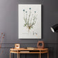 Bellflower Study - Canvas Art Print