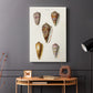 Cone Shell Collection VI - Canvas Art Print