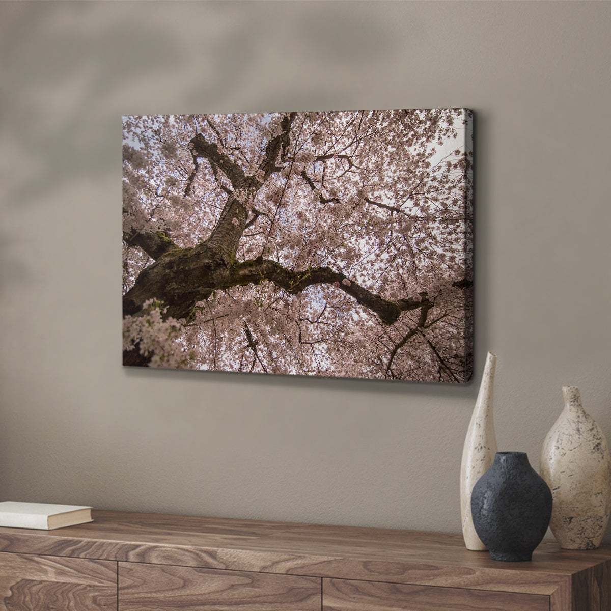 Spring's Arrival - Canvas Art Print