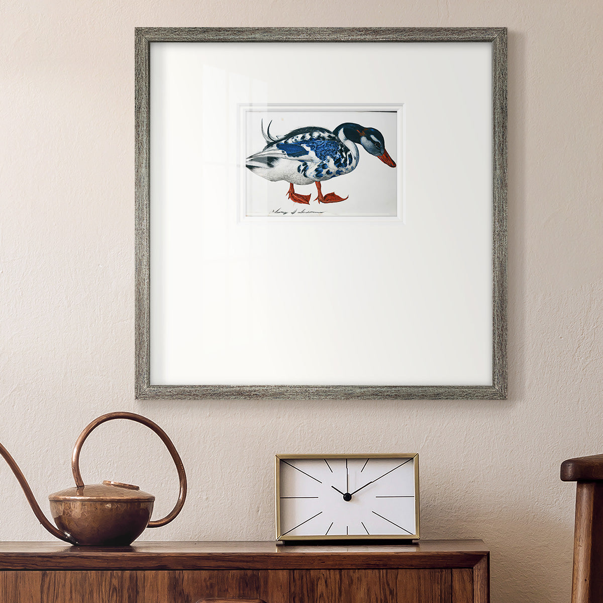 Blue Mallard Premium Framed Print Double Matboard