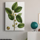 Cherry Fig Tree Premium Gallery Wrapped Canvas - Ready to Hang