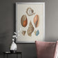 Knorr Shells & Coral I - Modern Framed Canvas Print