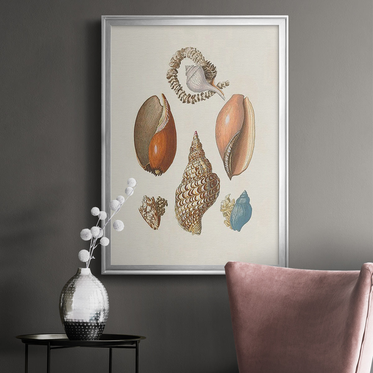 Knorr Shells & Coral I - Modern Framed Canvas Print
