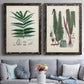 Set of two black barnwood framed canvas prints depicting paired natural-history fern plates with varied green fronds, roots, spores, and archival labels above a sofa in a contemporary living room.