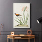 Southern Red Bishop and Gladiolus, c. 1822 - Canvas Art Print