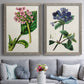 Set of two gray barnwood framed canvas prints depicting paired antique botanical plate illustrations with detailed blossoms, leaves, roots, and archival cream grounds above a sofa in a contemporary living room.