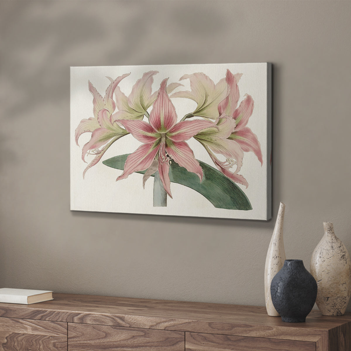 Amaryllis Varietals I - Canvas Art Print