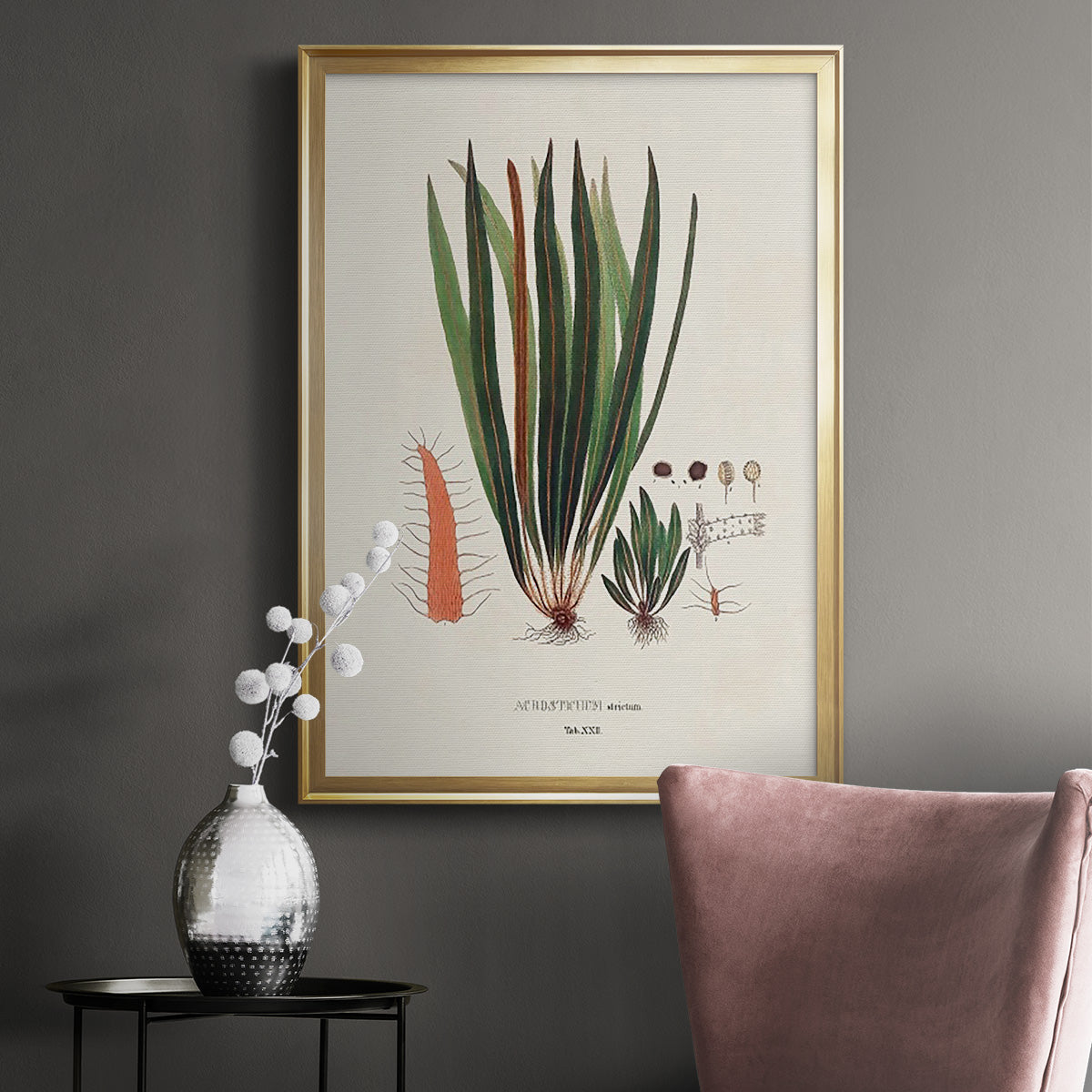 Botanical Society Ferns V - Modern Framed Canvas Print