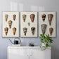 Cone Shell Collection I - Framed Premium Gallery Wrapped Canvas L Frame 3 Piece Set - Ready to Hang