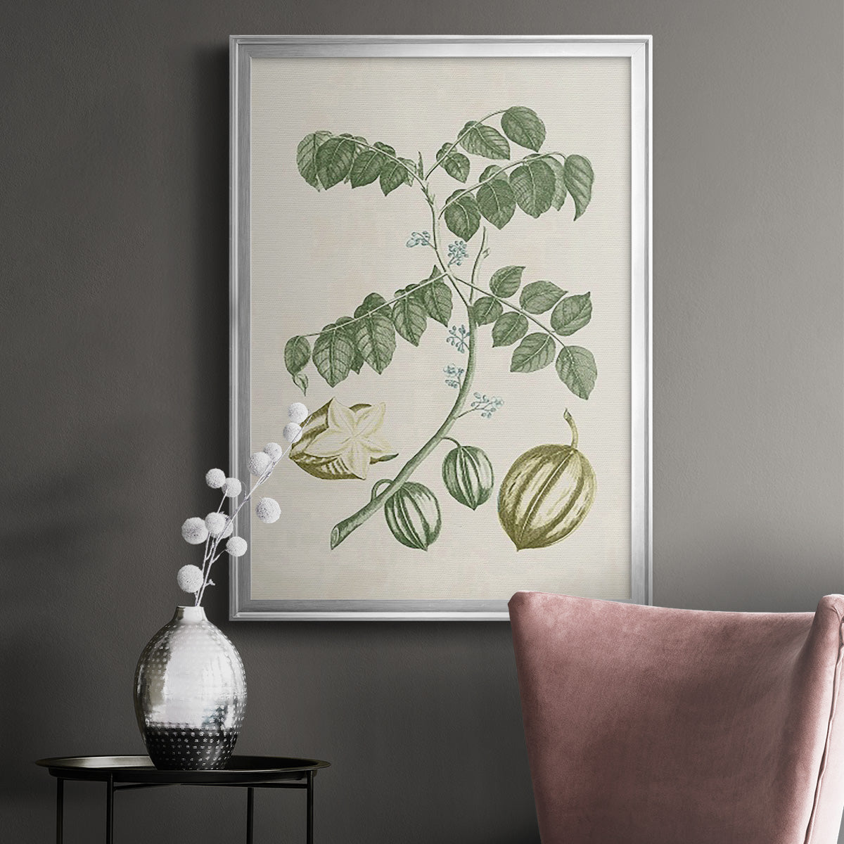 Buchoz Tropicals II - Modern Framed Canvas Print