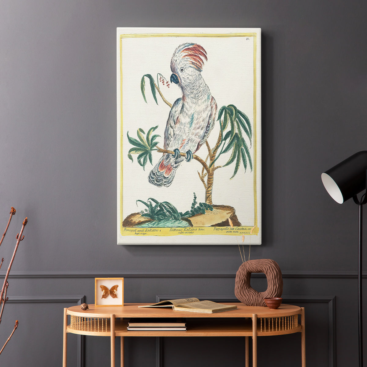 Red-Crested Cockatoo, 1771-1775 - Canvas Art Print