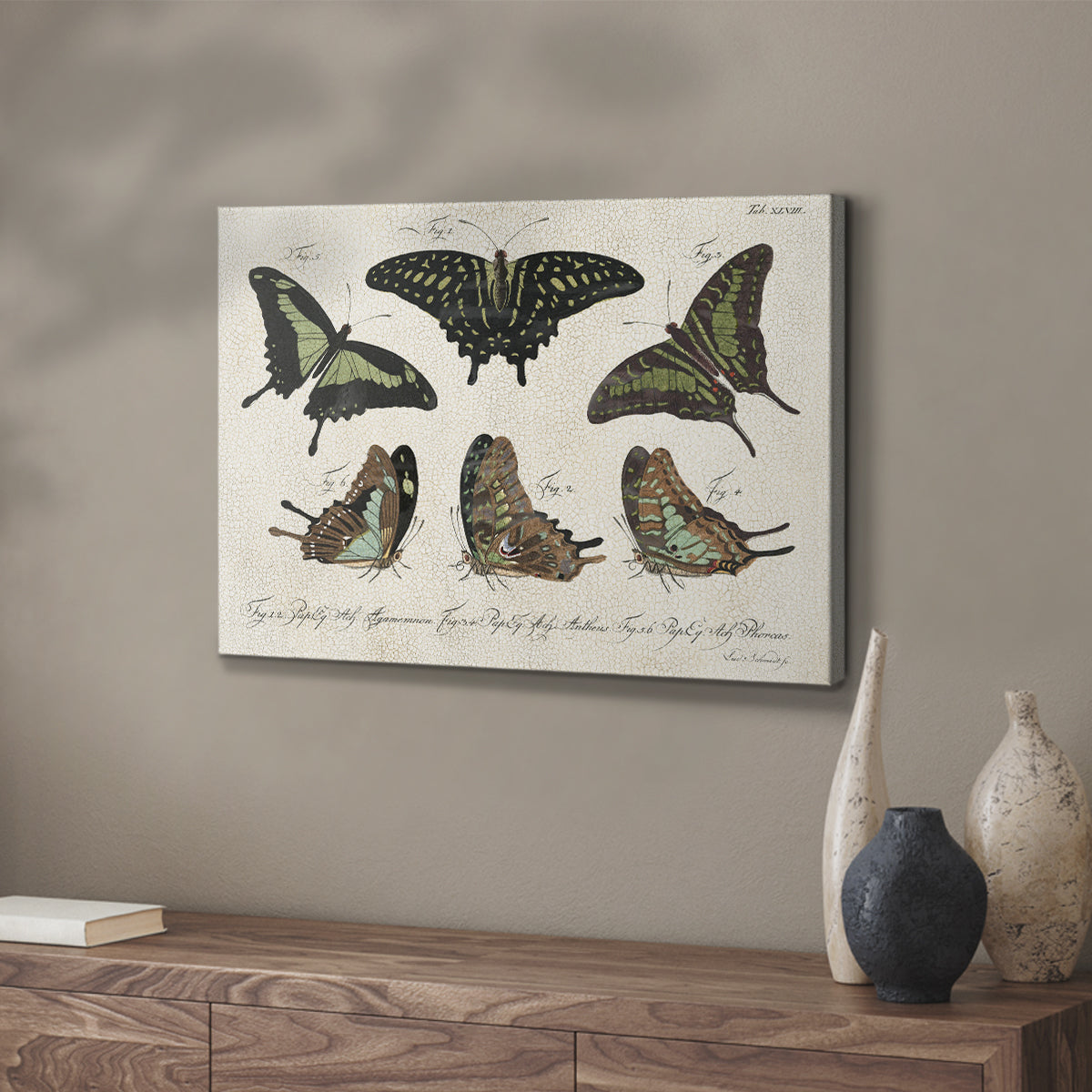 Crackled Butterflies II - Canvas Art Print