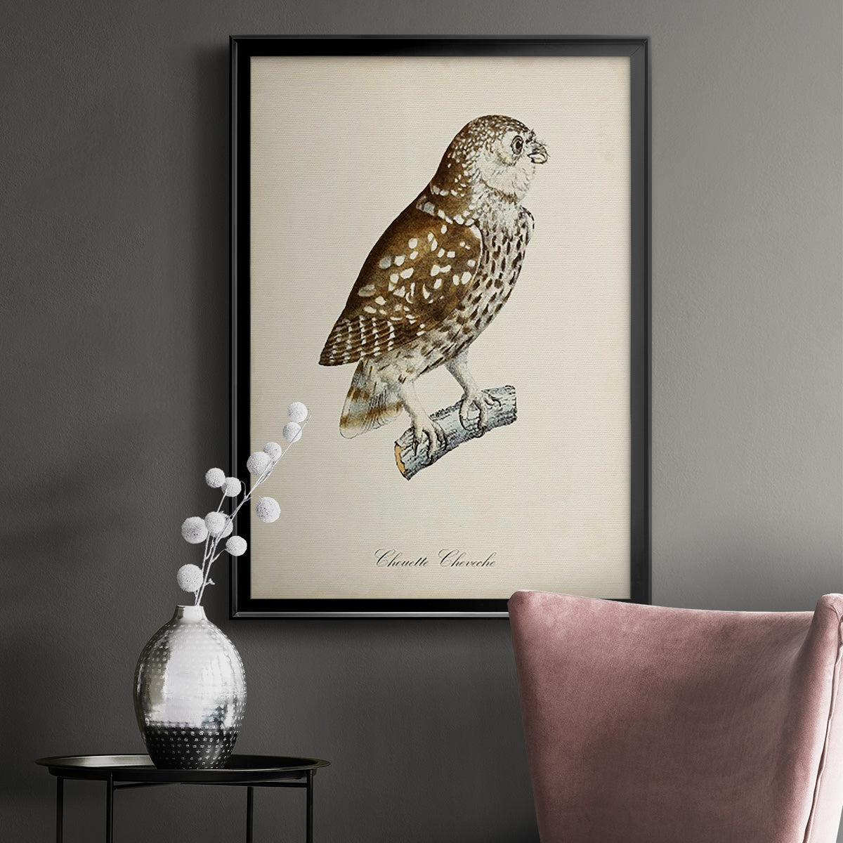 French Owls I - Modern Framed Canvas Print