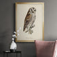 French Owls III - Modern Framed Canvas Print