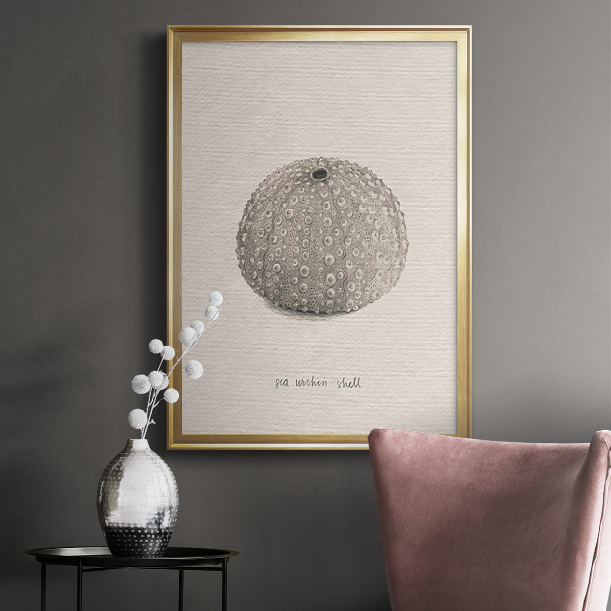 Shore Treasure Study I - Modern Framed Canvas Print