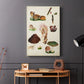 Mushroom Species IX - Canvas Art Print